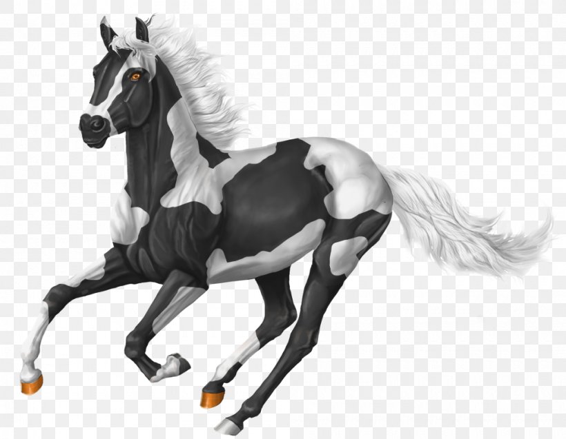 Horse Mane Pony Drawing Sketch, PNG, 1000x778px, Horse, Art, Black And White, Croquis, Drawing Download Free