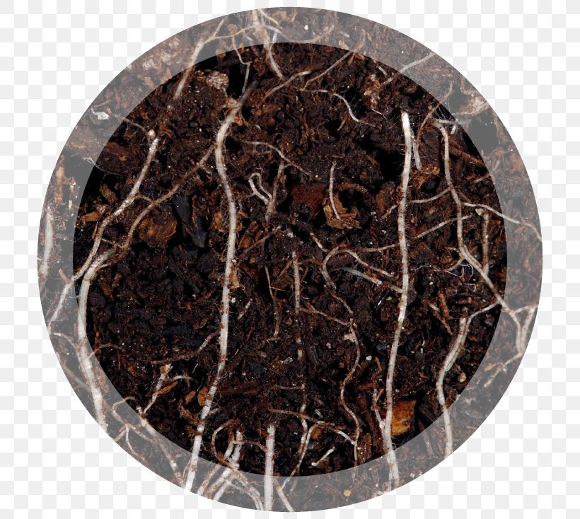 Nutrient Soil Root Foliar Feeding Health, PNG, 736x734px, Nutrient, Agricultural Soil Science, Da Hong Pao, Dianhong, Foliar Feeding Download Free