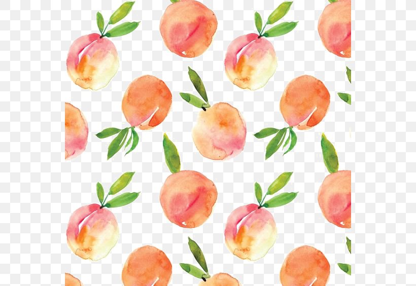 Peach Watercolor Painting Drawing, PNG, 564x564px, Peach, Diet Food, Drawing, Food, Fruit Download Free