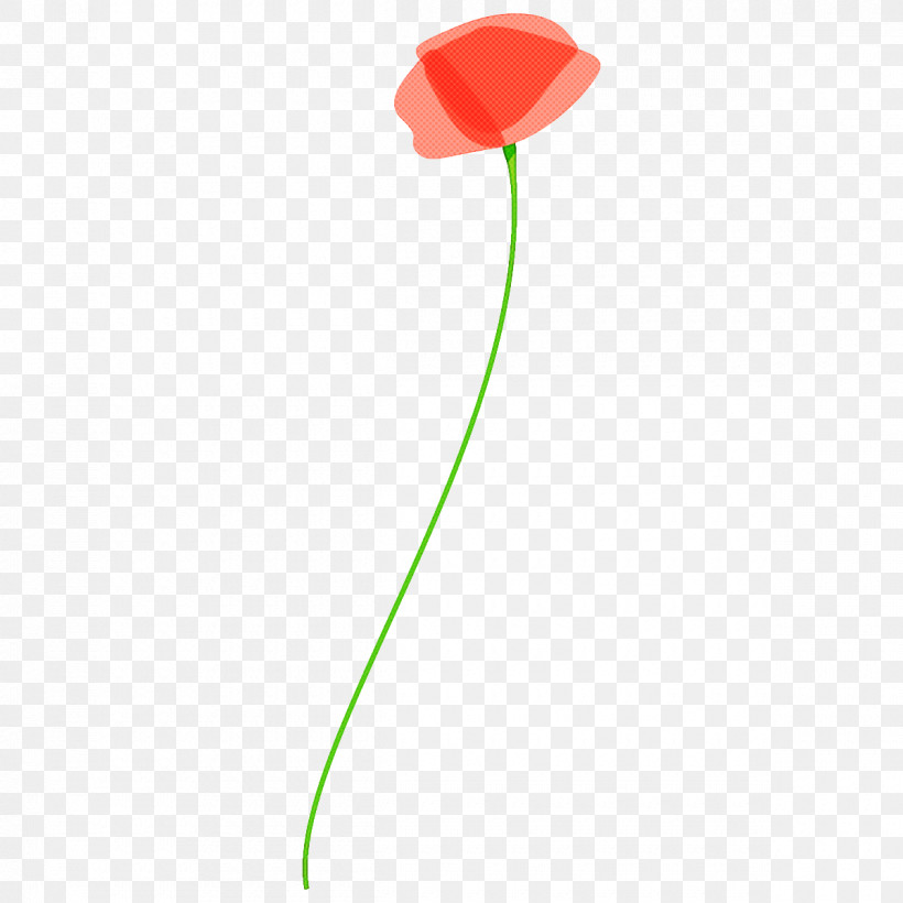 Poppy Flower, PNG, 1200x1200px, Poppy Flower, Balloon, Coquelicot, Flower, Green Download Free