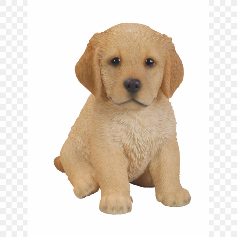 Golden Retriever Labrador Retriever Puppy Dog Breed Companion Dog, PNG, 1000x1000px, Golden Retriever, Breed, Carnivoran, Companion Dog, Dalmatian Dog Download Free