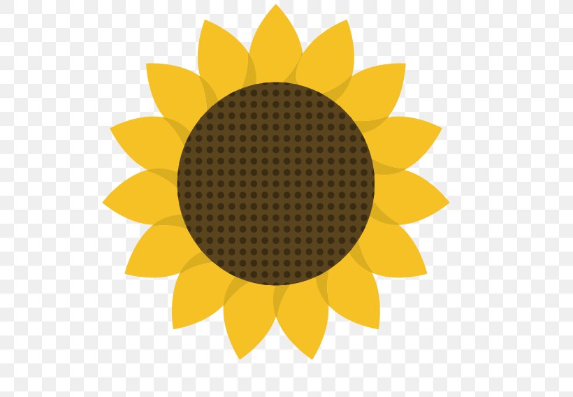 Common Sunflower Euclidean Vector, PNG, 567x568px, Common Sunflower,  Animation, Daisy Family, Dessin Animxe9, Drawing Download Free