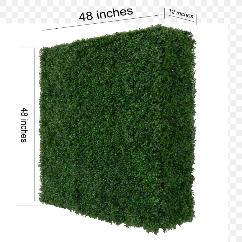 Hedge Evergreen Shrub, PNG, 1024x1024px, Hedge, Evergreen, Grass, Plant, Shrub Download Free