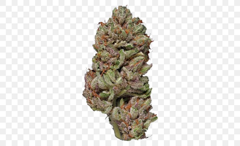 Kush Green Door West Cannabis Delivery Cannabidiol Hashish, PNG, 500x500px, Kush, California, Cannabidiol, Cannabis, Colorado Download Free