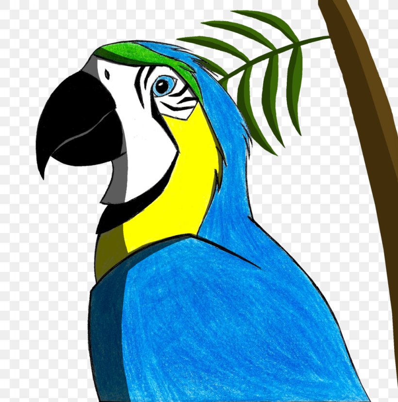Macaw Parrot Beak Toucan Feather, PNG, 1024x1035px, Macaw, Beak, Bird, Blue, Cobalt Download Free