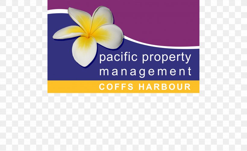 Pacific Property Management Real Estate Brand Font, PNG, 3543x2165px, Real Estate, Brand, Coffs Harbour, Flower, Logo Download Free