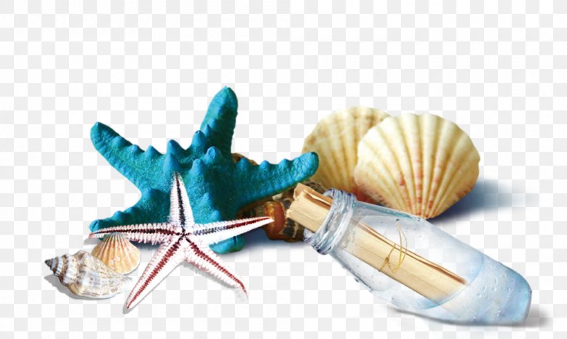 Seashell Bottle, PNG, 1000x600px, Seashell, Beach, Bottle, Plastic, Raster Graphics Download Free