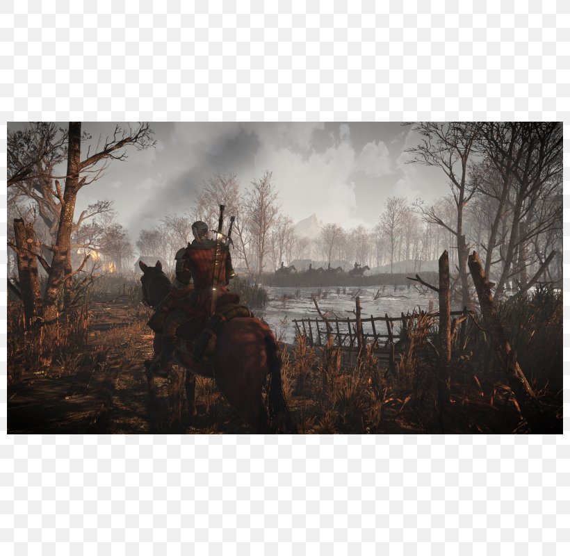 The Witcher 3: Wild Hunt Video Game PlayStation 4 Xbox One, PNG, 800x800px, Witcher 3 Wild Hunt, Cd Projekt, Forest, Game, Game Award For Game Of The Year Download Free