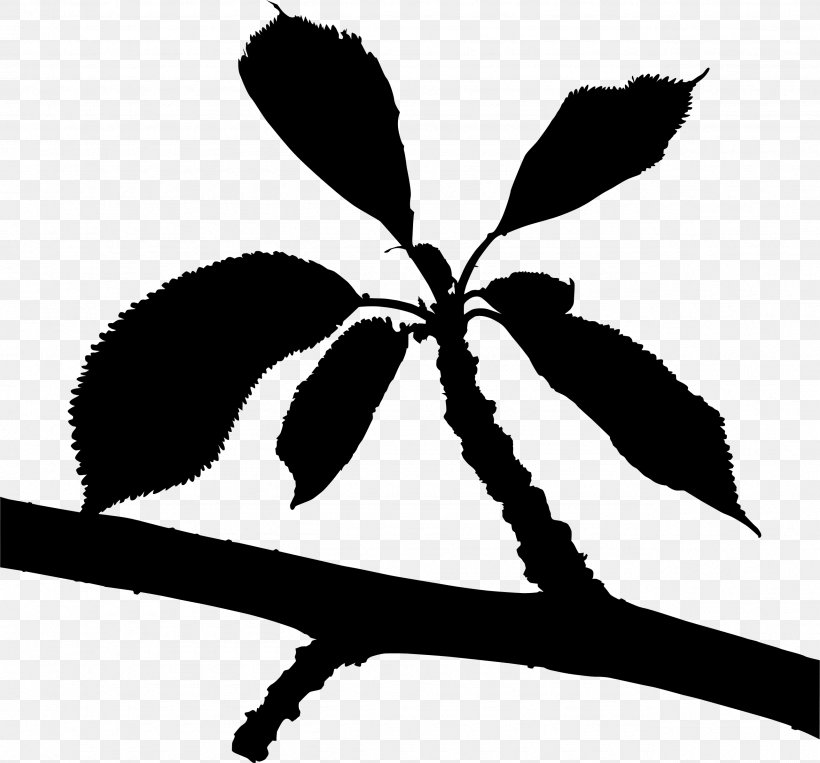 Twig Flower Plant Stem Leaf Clip Art, PNG, 2565x2388px, Twig, Blackandwhite, Botany, Branch, Flower Download Free