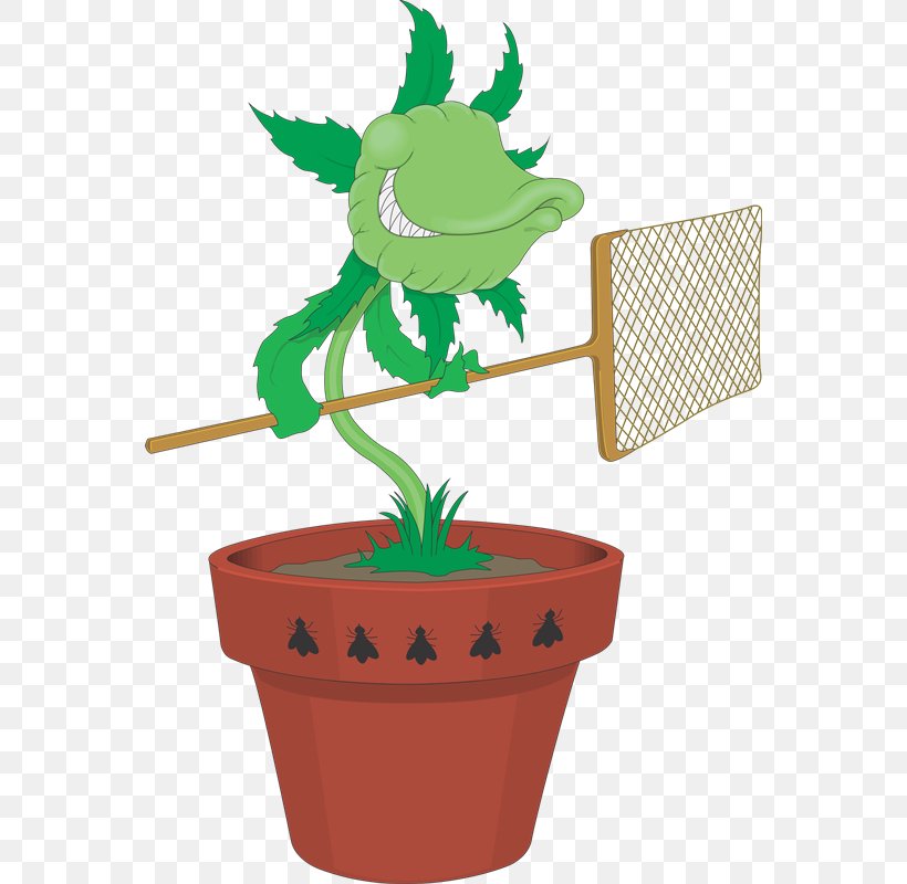 Venus Flytrap Carnivorous Plant Leaf Royalty-free Clip Art, PNG, 558x800px, Venus Flytrap, Carnivorous Plant, Fictional Character, Flower, Flowerpot Download Free