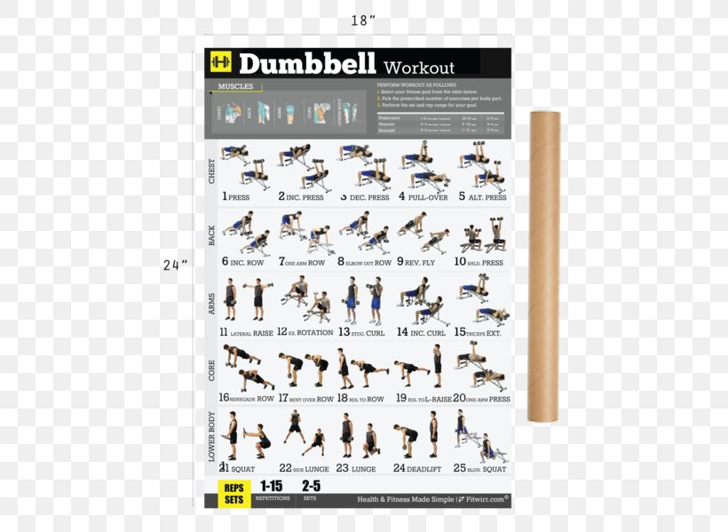 Dumbbell Weight Training Bodyweight Exercise Fitness Centre, PNG, 461x599px, Dumbbell, Aerobic Exercise, Bodyweight Exercise, Circuit Training, Exercise Download Free