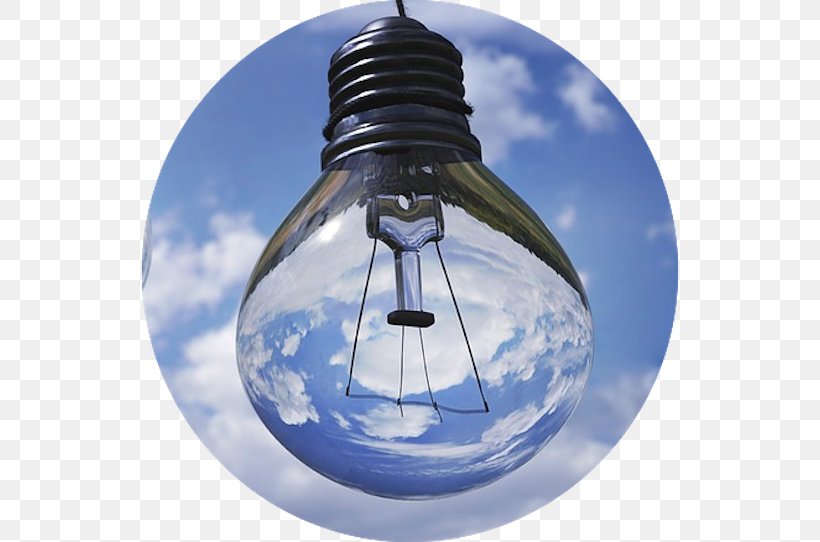 Incandescent Light Bulb Photosynthesis Bringing Clean Energy To DuPage, PNG, 536x542px, Light, Business, Chemical Energy, Energy, Incandescent Light Bulb Download Free