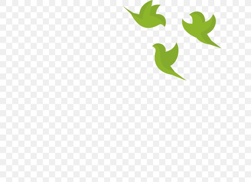 Logo Green Desktop Wallpaper Leaf Font, PNG, 628x595px, Logo, Branch, Computer, Flora, Grass Download Free