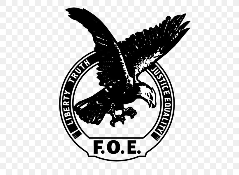 Muskegon Logo Fraternal Order Of Eagles Eagles 3201, PNG, 800x600px, Muskegon, Beak, Bird, Bird Of Prey, Black And White Download Free