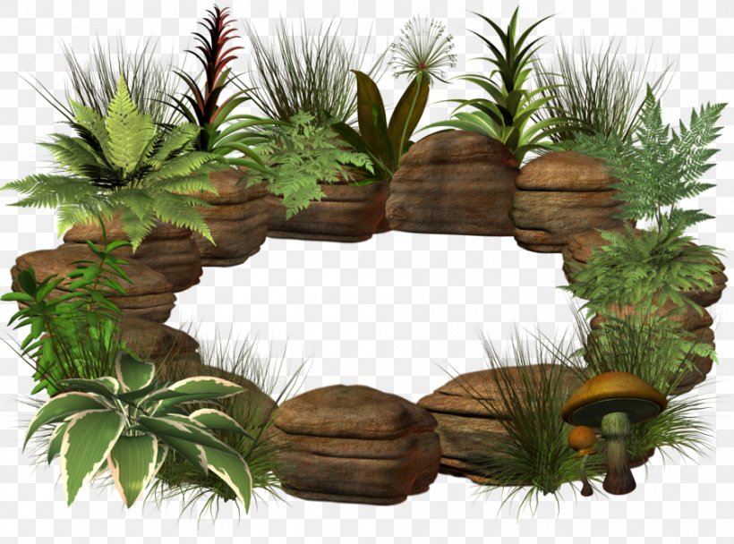 Photography Clip Art, PNG, 900x668px, Photography, Plant, Tree, Watermark Download Free