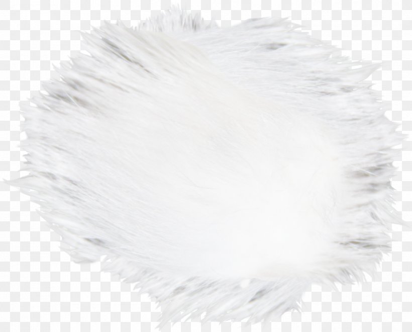 White Hair Canities Fur, PNG, 1989x1601px, White, Black And White, Body Hair, Canities, Capelli Download Free