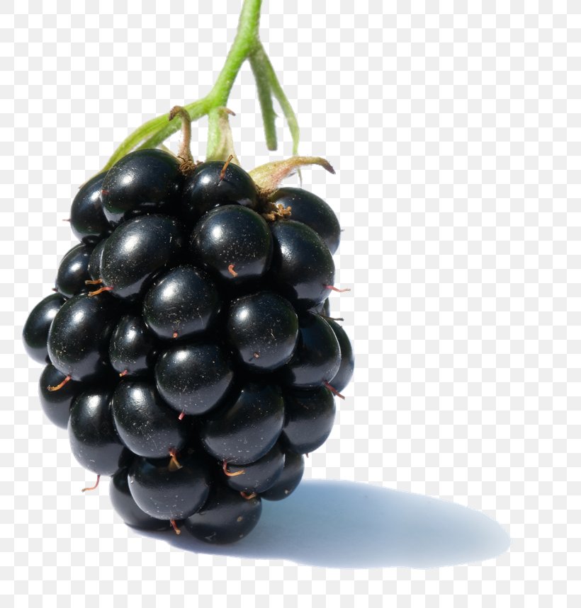 Blackberry Fruit Raspberry Clip Art, PNG, 800x859px, Juice, Berry, Black Raspberry, Blackberry, Boysenberry Download Free
