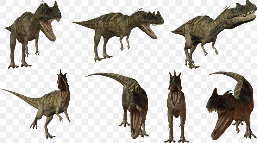 Dinosaur Tyrannosaurus Taobao Megasaurus Child, PNG, 4547x2532px, Dinosaur, Animal, Carnivoran, Child, Constructeur Download Free