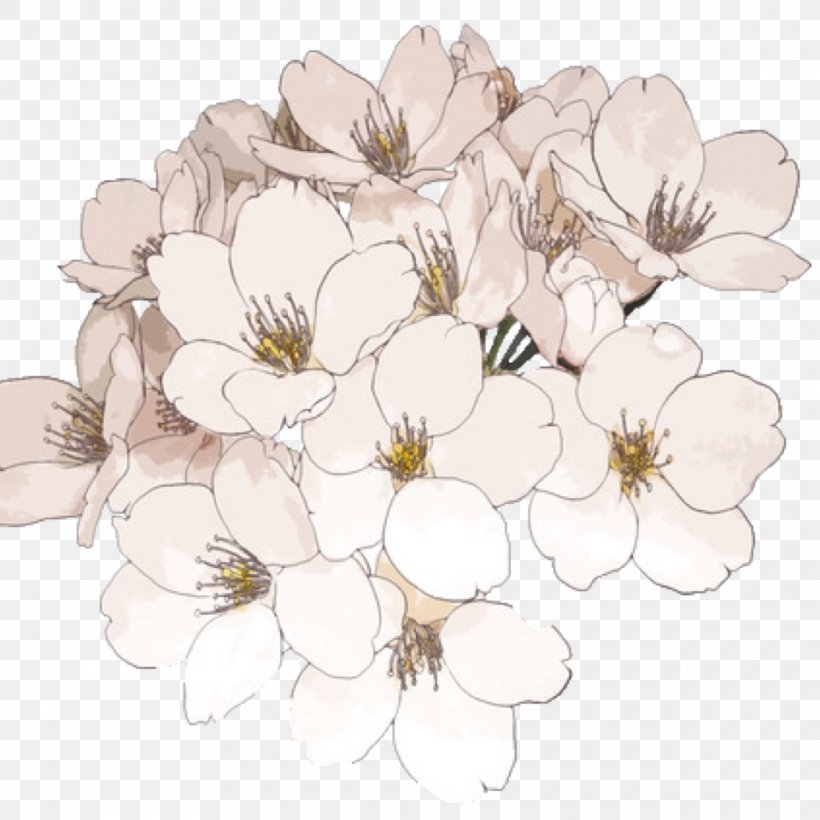 Transparency Flower Clip Art Desktop Wallpaper, PNG, 960x960px, Flower,  Art, Blossom, Botany, Branch Download Free