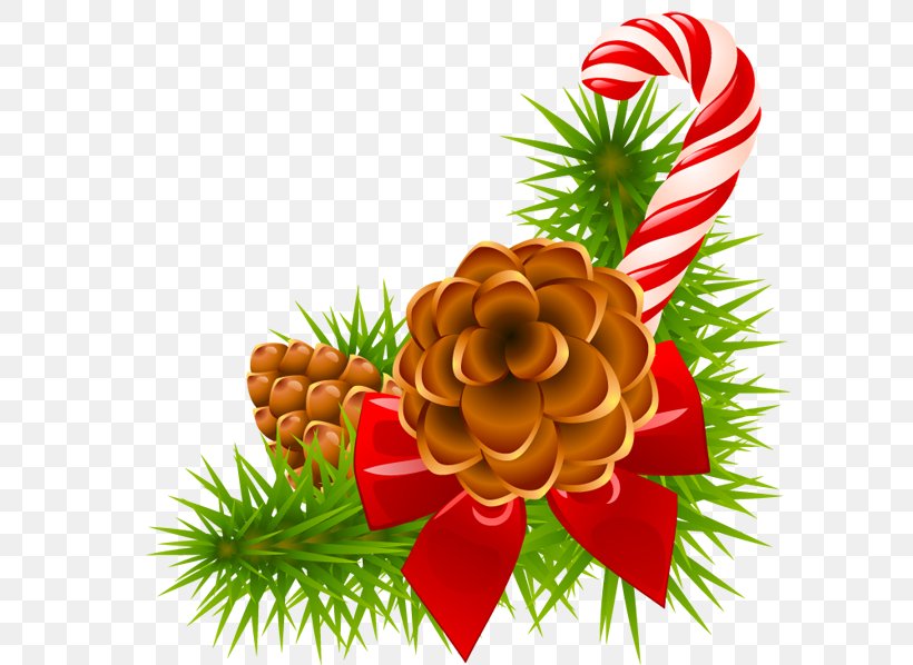 Clip Art Christmas Pine Conifer Cone Christmas Day, PNG, 600x598px, Watercolor, Cartoon, Flower, Frame, Heart Download Free
