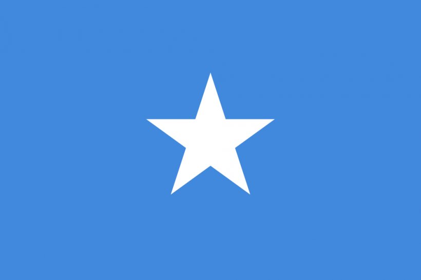 Flag Of Somalia WHOIS Domain Name Qolobaa Calankeed, PNG, 1000x667px, Somalia, Blue, Brand, Com, Domain Name Download Free