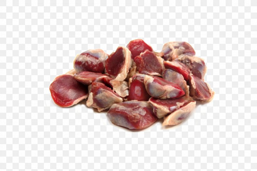 Gizzard Duck Atavik Dog Cat, PNG, 1920x1280px, Gizzard, Animal Source Foods, Carnivore, Cat, Dog Download Free