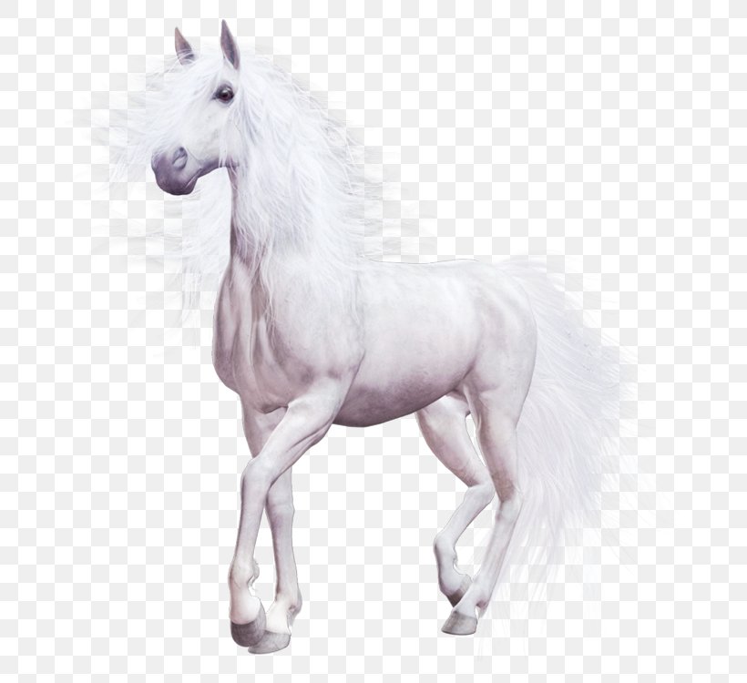 Horse Download Computer File, PNG, 750x750px, Horse, Canter And Gallop, Colt, Computer Graphics, Foal Download Free