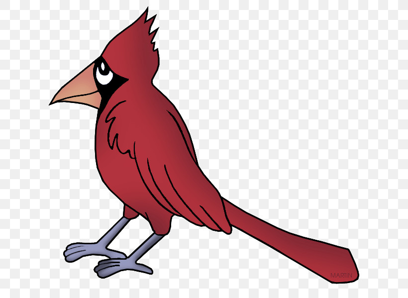Bird Northern Cardinal Cardinal Beak Red, PNG, 648x599px, Bird, Beak, Cardinal, Northern Cardinal, Perching Bird Download Free