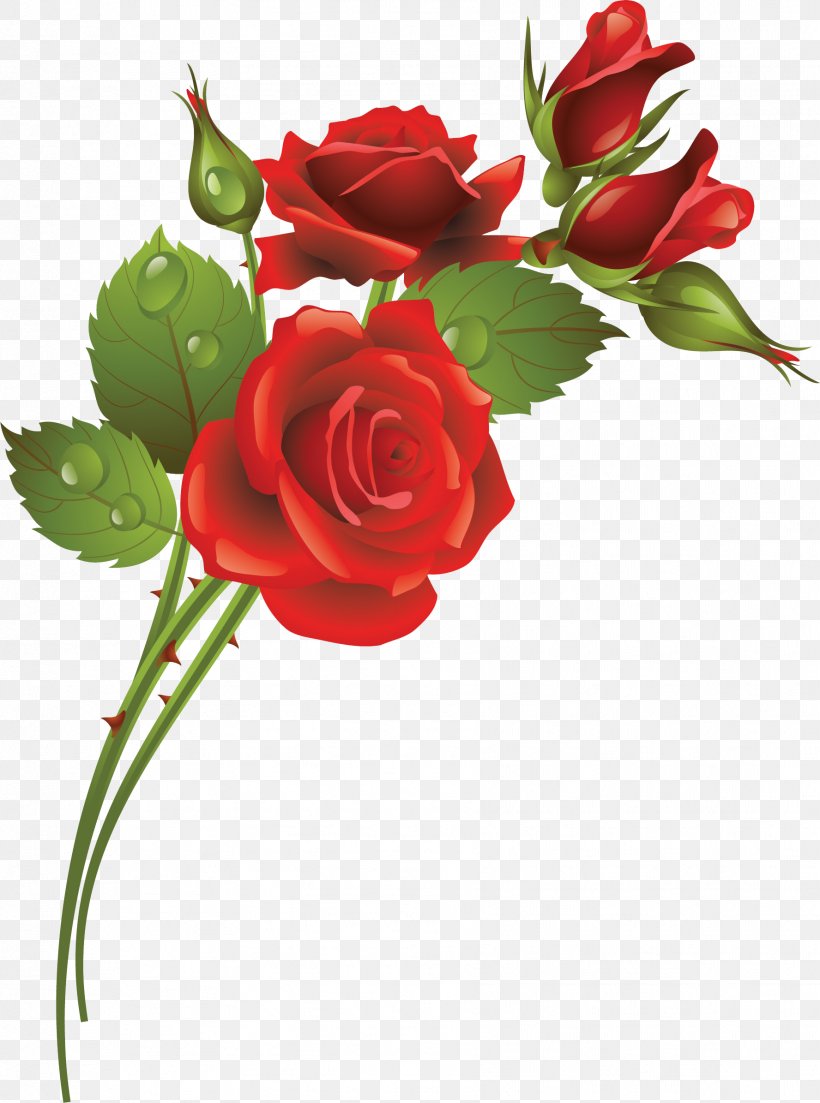 Garden Roses Flower Clip Art, PNG, 1776x2391px, Garden Roses, Artificial Flower, Cut Flowers, Digital Image, Floral Design Download Free