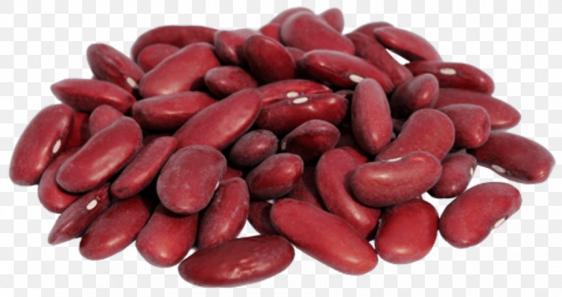 Kidney Bean Moth Bean Red Beans And Rice, PNG, 850x449px, Kidney Bean, Adzuki Bean, Azuki Bean, Bean, Blackeyed Pea Download Free