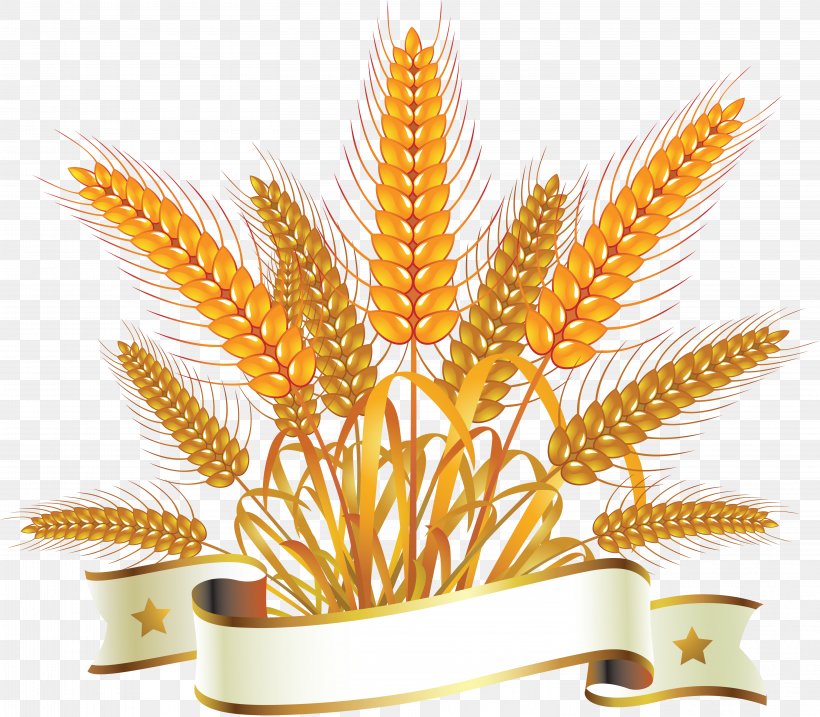 Bread Wheat Royalty-free Clip Art, PNG, 6034x5281px, Common Wheat, Bakery, Barley, Bread, Cereal Download Free