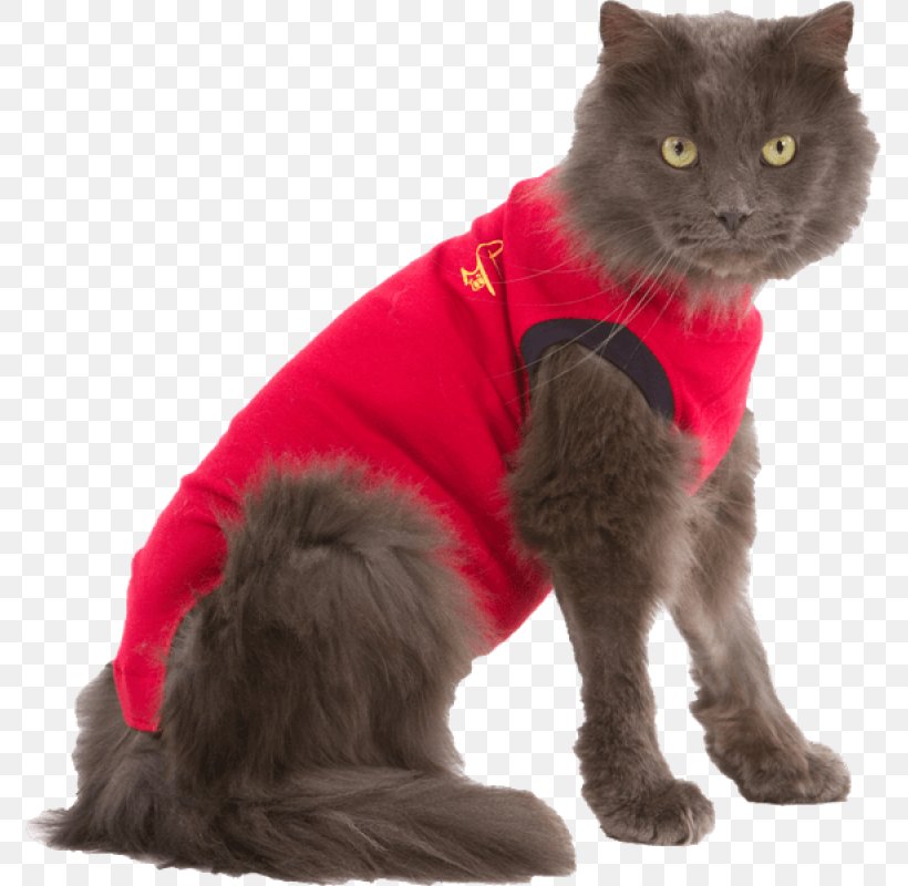 Cat T-shirt Dog Veterinarian, PNG, 800x800px, Cat, Black Cat, Bodystocking, Carnivoran, Cat Like Mammal Download Free