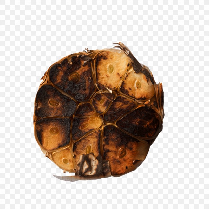 Download Barbecue Icon, PNG, 1500x1500px, Barbecue Grill, Box Turtle, Designer, Emydidae, Food Download Free