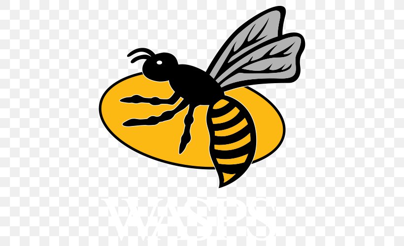 Wasps RFC English Premiership Wasps Ladies Wasps FC Ricoh Arena, PNG, 500x500px, Wasps Rfc, Arthropod, Artwork, Bee, Black And White Download Free