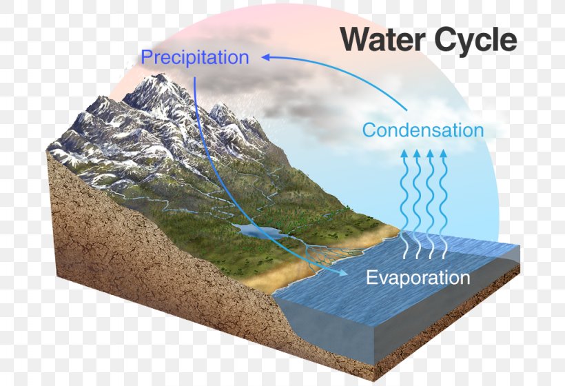 Bible Science Catholic University Of Pelotas Water Cycle Water Resources, PNG, 1024x700px, Bible, Elevation, Geology, Hydrology, Pelotas Download Free