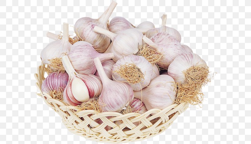 Garlic Shallot Vegetable Recipe .de, PNG, 600x470px, Garlic, Basket, Food, Ingredient, Internet Download Free
