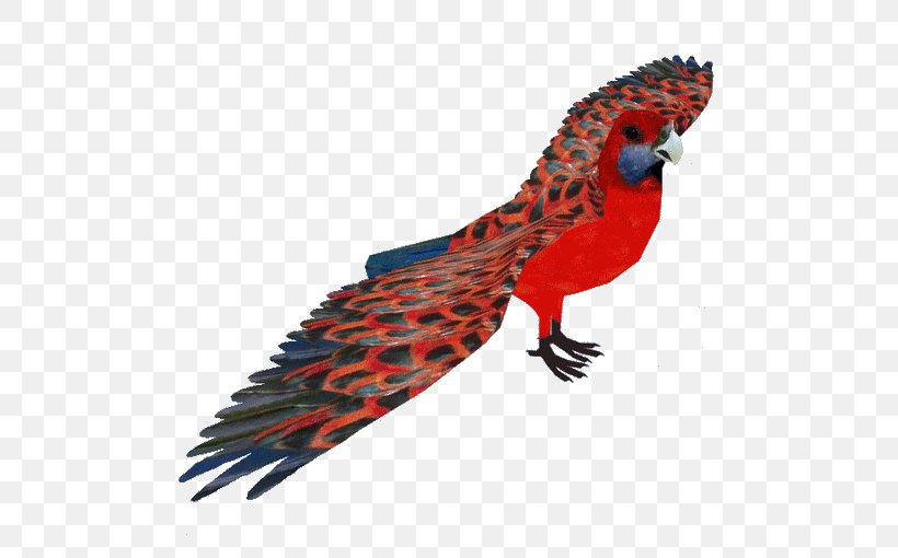 Bird Parrot, PNG, 510x510px, Macaw, Beak, Bird, Feather, Parakeet Download Free