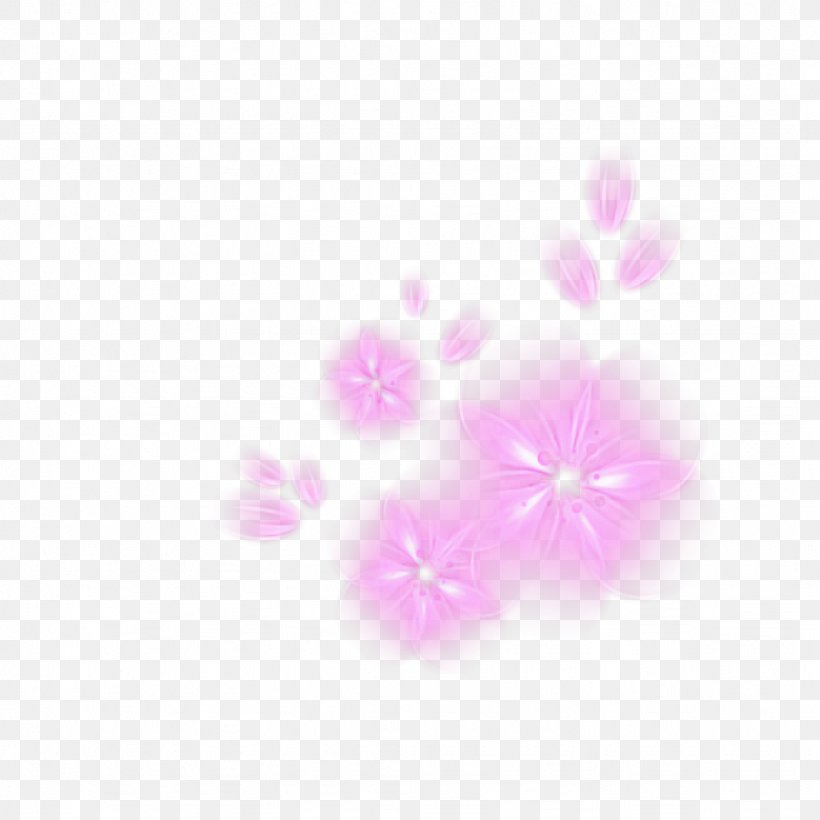 Cherry Blossom, PNG, 1024x1024px, Pink, Blossom, Cherry Blossom, Flower, Lilac Download Free