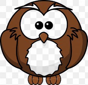 Owl Cute Images Owl Cute Transparent Png Free Download