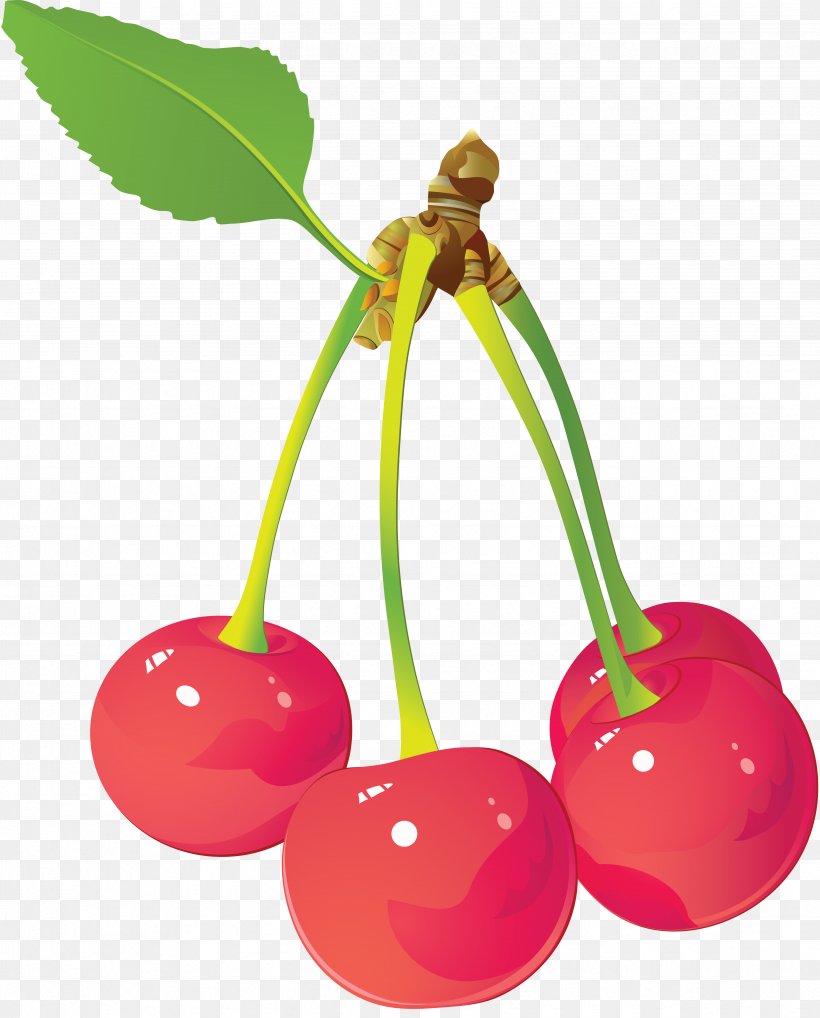 Juice Fruit Cherry, PNG, 4697x5832px, Juice, Cherry, Food, Fruit, Grape Download Free