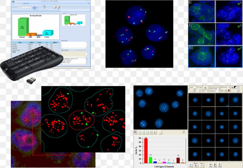 Sitogen 2018 Porsche 911 Carrera S Biochemical Oxygen Demand Spectral Imaging Technology, PNG, 1200x832px, 2018 Porsche 911 Carrera S, Biochemical Oxygen Demand, Chemical Oxygen Demand, Chemistry, Concentration Download Free