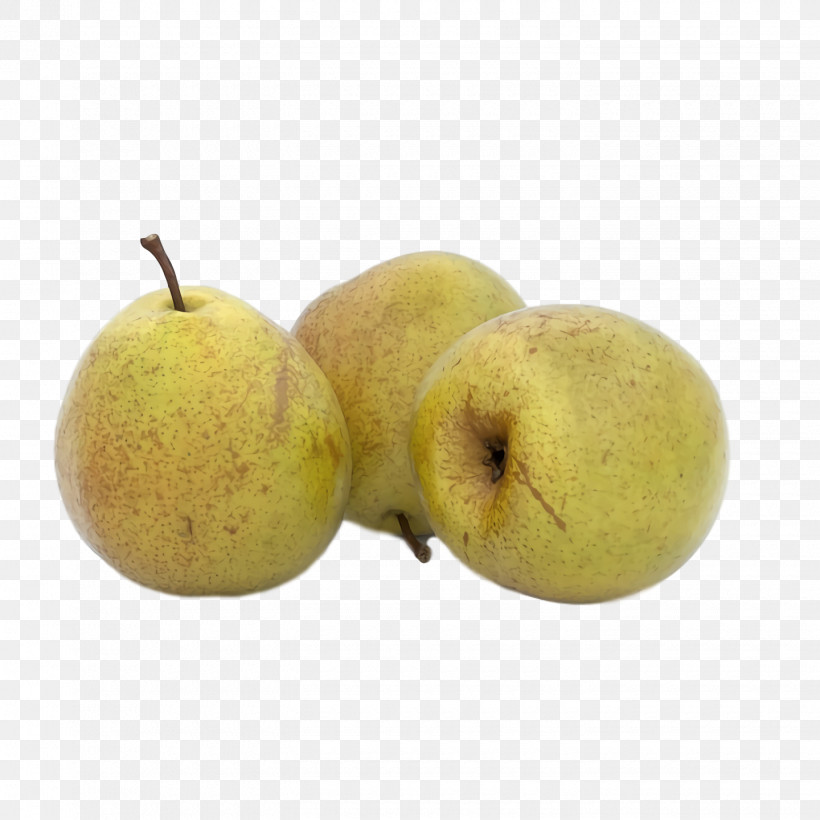 Asian Pear Apple Fahrenheit Pear, PNG, 1440x1440px, Asian Pear, Apple, Fahrenheit, Pear Download Free