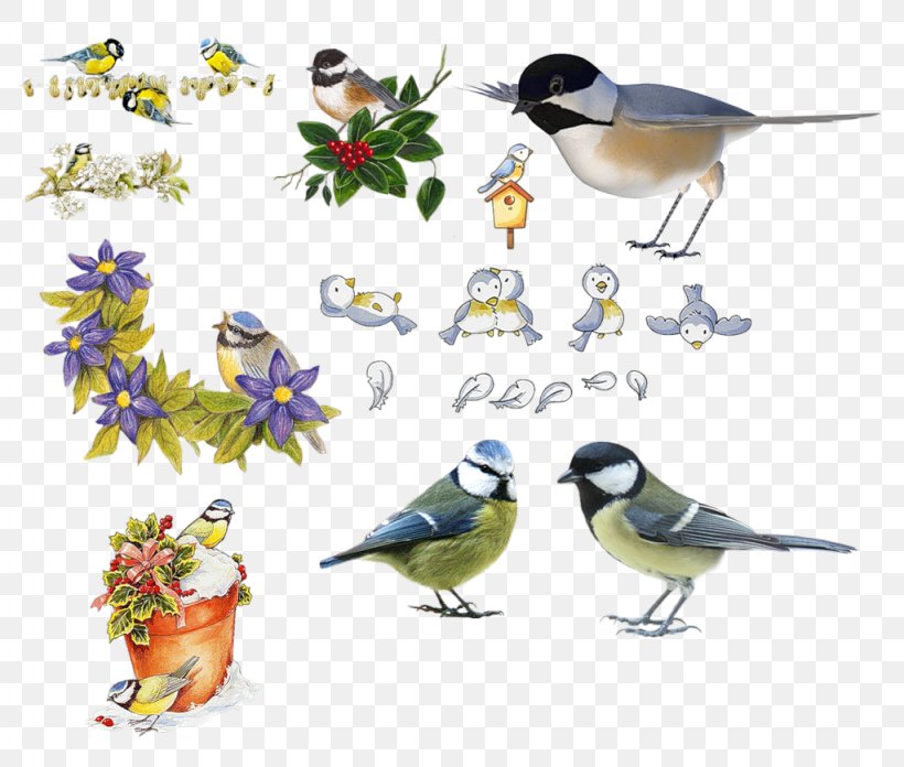 Bird Parus Clip Art, PNG, 1024x870px, Watercolor, Cartoon, Flower, Frame, Heart Download Free