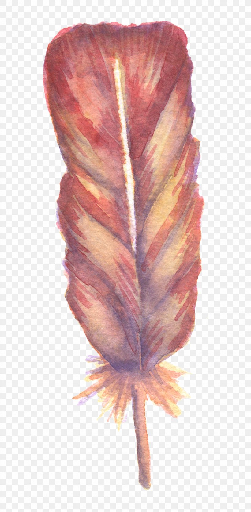 Watercolor: Flowers Watercolor Painting Feather, PNG, 1328x2704px, Watercolor Flowers, Feather, Inkwell, Leaf, Painting Download Free
