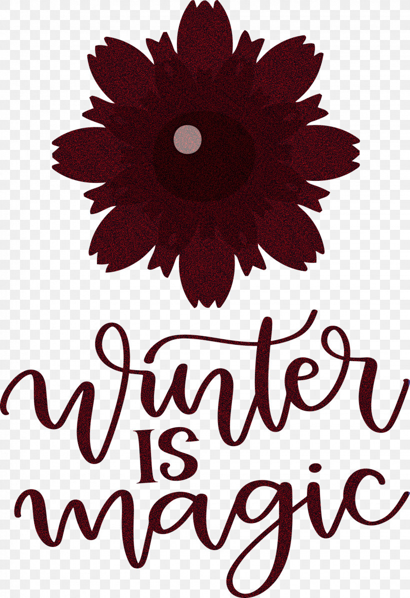 Winter Is Magic Hello Winter Winter, PNG, 2055x3000px, Winter Is Magic, Biology, Common Daisy, Cut Flowers, Daisy Family Download Free