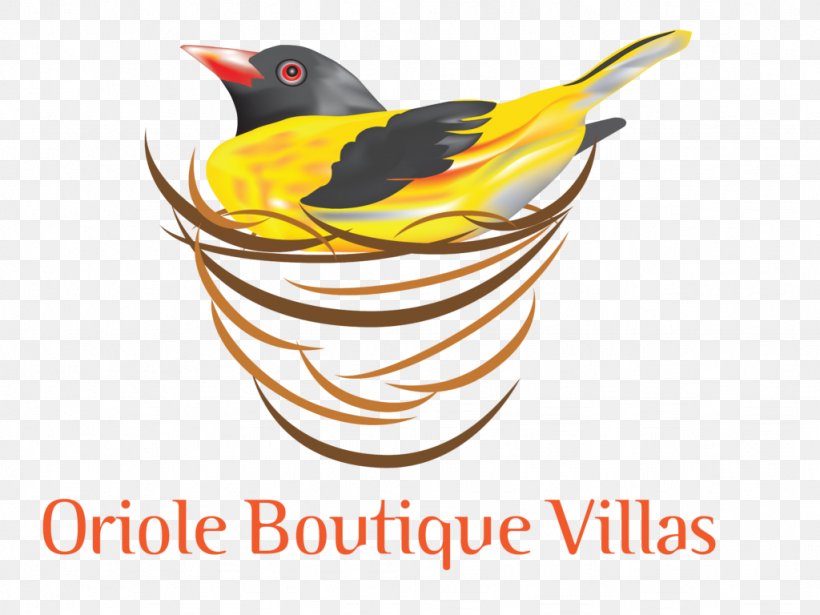 Bentota Oriole Boutique Villas Boutique Hotel Ventura Beach, PNG, 1024x768px, Bentota, Artwork, Beach, Beak, Bird Download Free