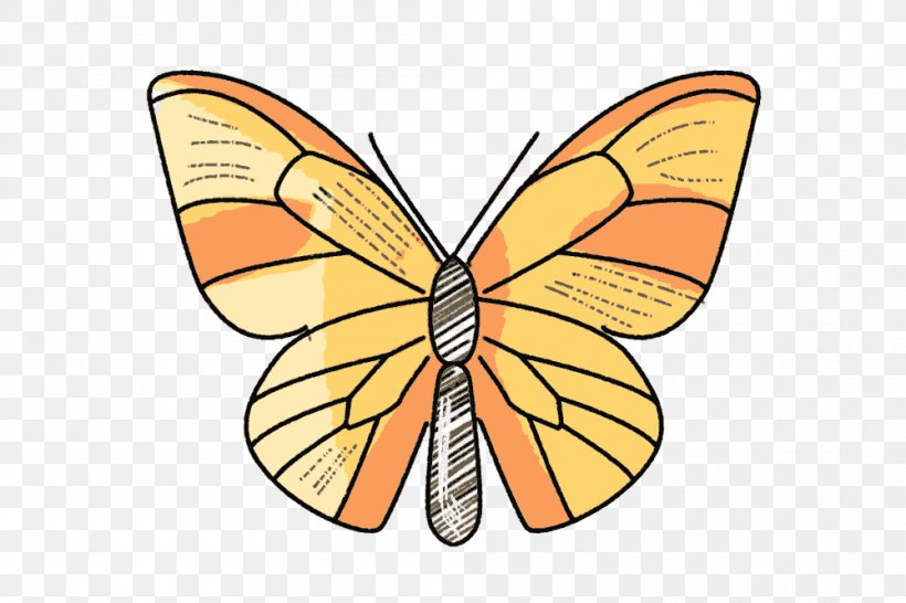 Satchel Monarch Butterfly Scout Borussia Dortmund Child, PNG, 1000x666px, Satchel, Adventure Film, Animal, Arthropod, Borussia Dortmund Download Free