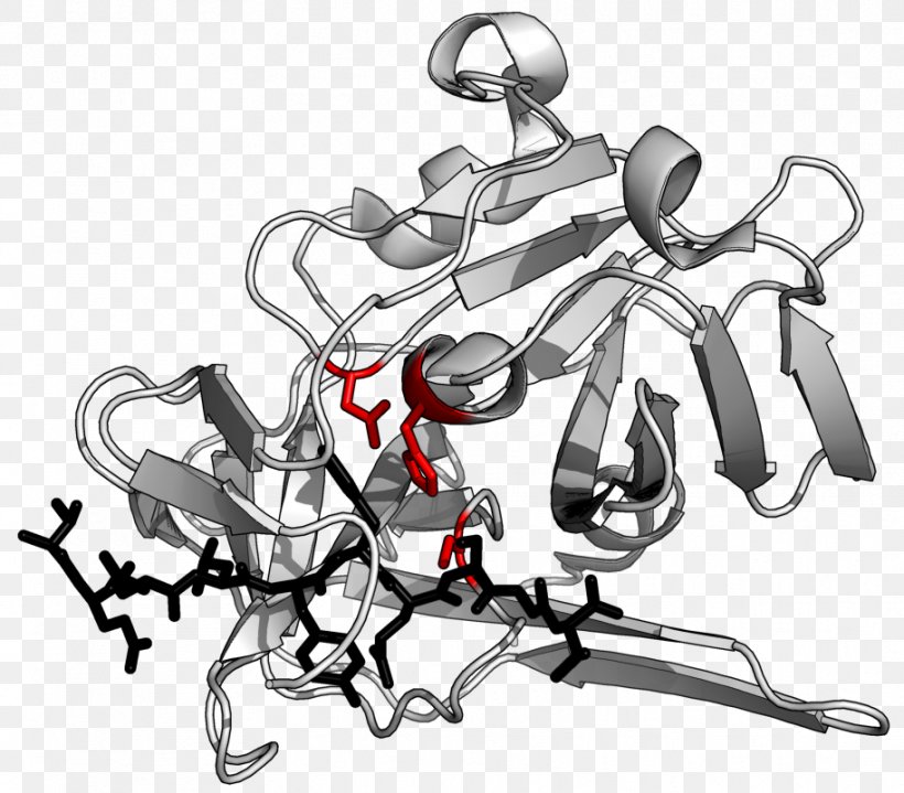 TEV Protease Tobacco Etch Virus Peptide Bond Enzyme, PNG, 914x802px, Protease, Artwork, Auto Part, Automotive Design, Black And White Download Free