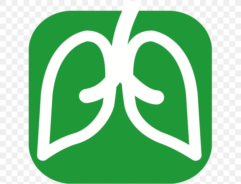 Leaf Brand Line Logo Clip Art, PNG, 625x627px, Leaf, Area, Brand, Grass, Green Download Free