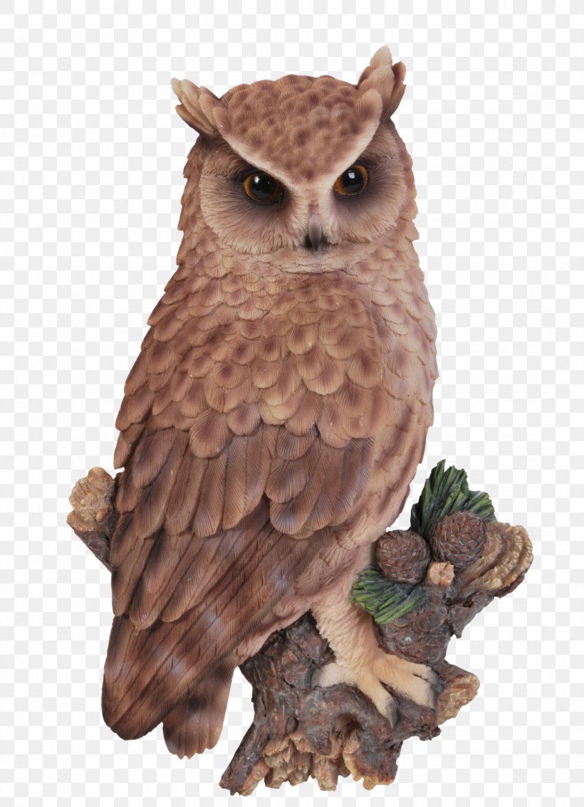 Long-eared Owl Tawny Owl Short-eared Owl Little Owl, PNG, 1080x1494px, Owl, Beak, Bird, Bird Of Prey, Color Download Free